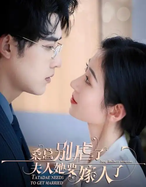 潮汐之城电视剧全集免费看